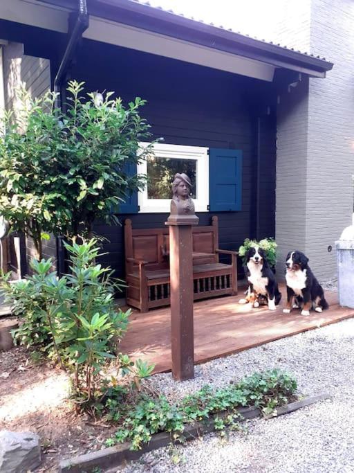 Comfortable Chalet In A Unique Location In Forest Essen Ngoại thất bức ảnh